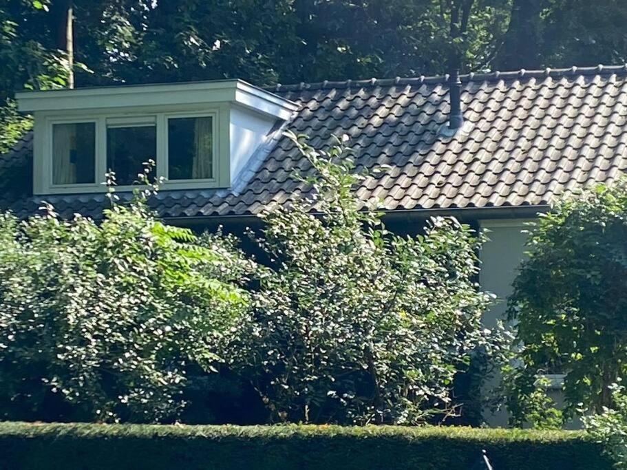 זייסט Duinhoek: Luxe Studio, Prachtig En Rustig Gelegen מראה חיצוני תמונה