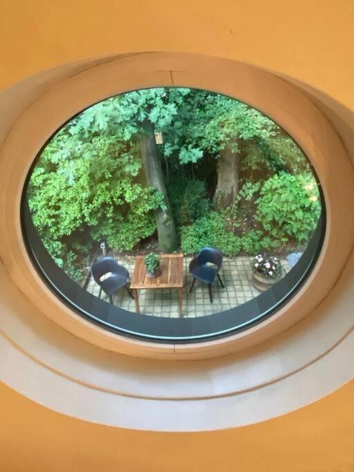 זייסט Duinhoek: Luxe Studio, Prachtig En Rustig Gelegen מראה חיצוני תמונה