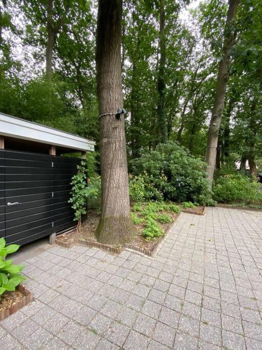 זייסט Duinhoek: Luxe Studio, Prachtig En Rustig Gelegen מראה חיצוני תמונה